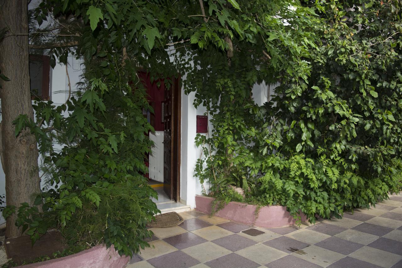 Staggia Studios Sami  Dış mekan fotoğraf